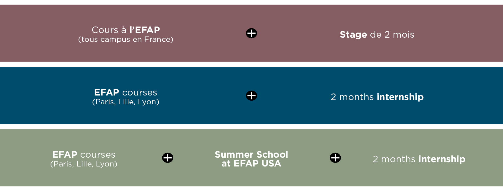 Schéma des études EFAP : formation communication année 1