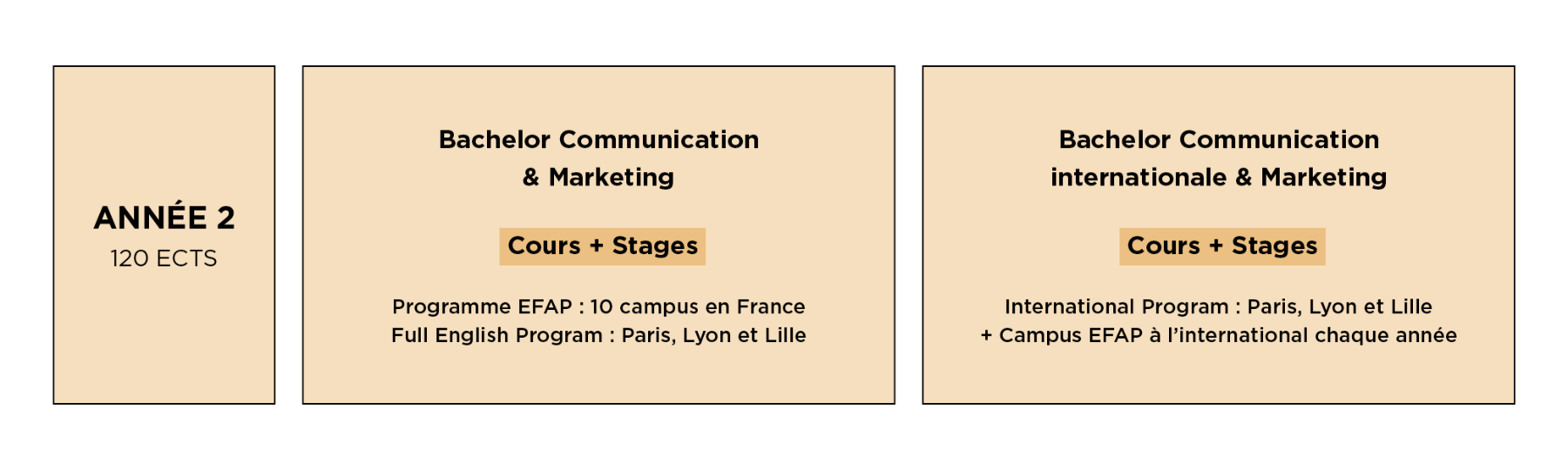 Schéma des études EFAP : formation communication international année 2