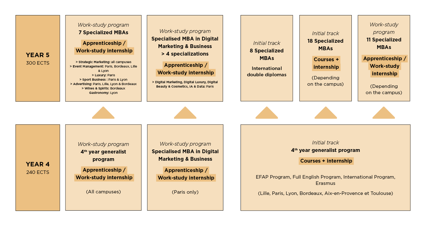 EFAP curriculum: year 5 communication training