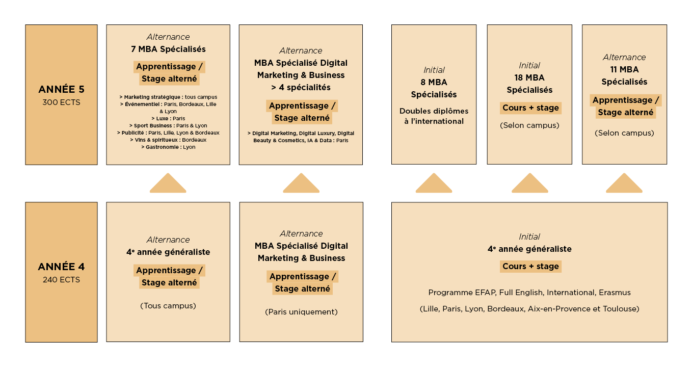 Schéma des études EFAP : formation communication international année 4