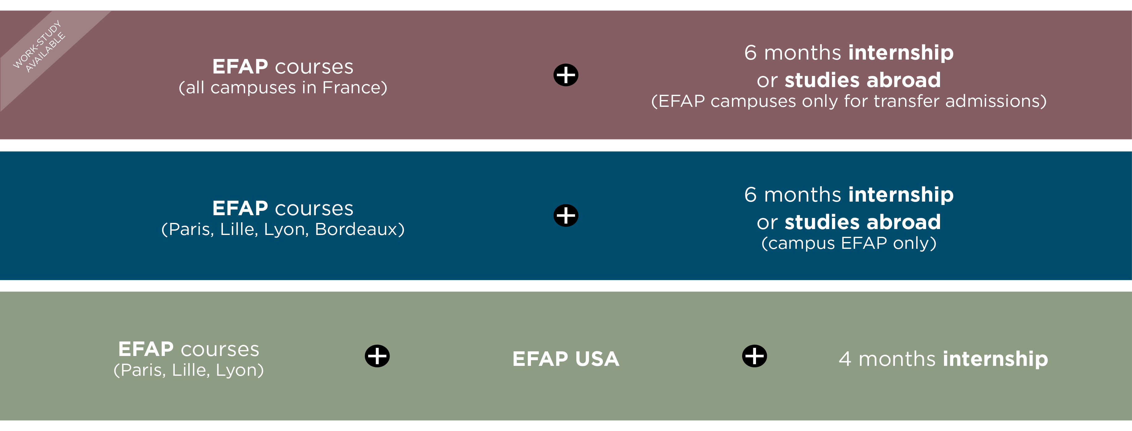 EFAP curriculum: fourth year international communication training