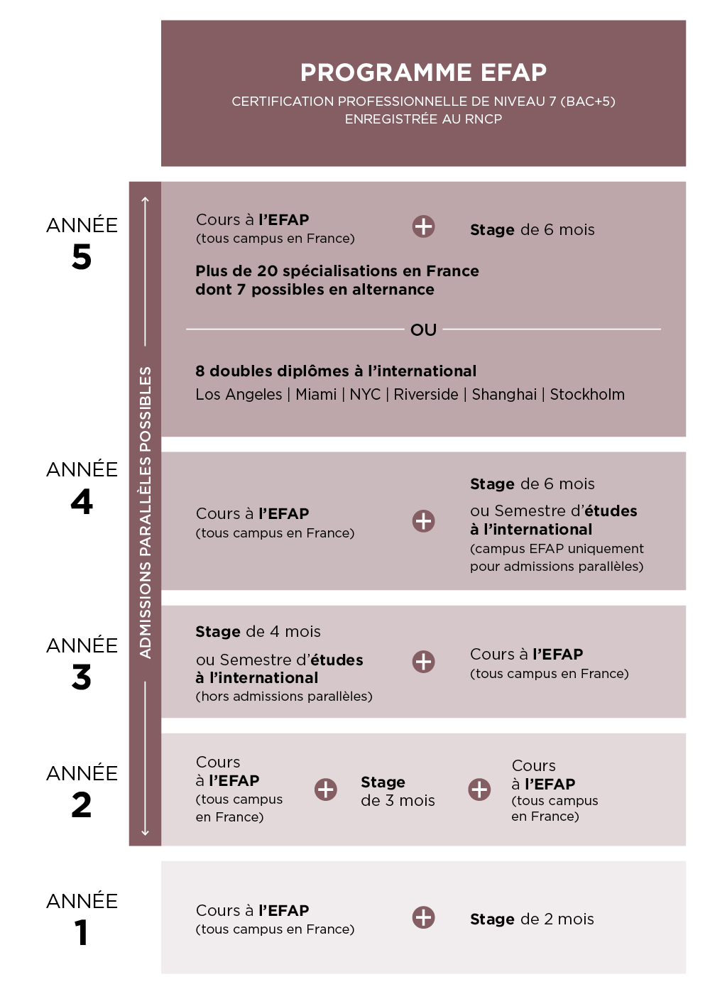 Schéma des études formation communication EFAP
