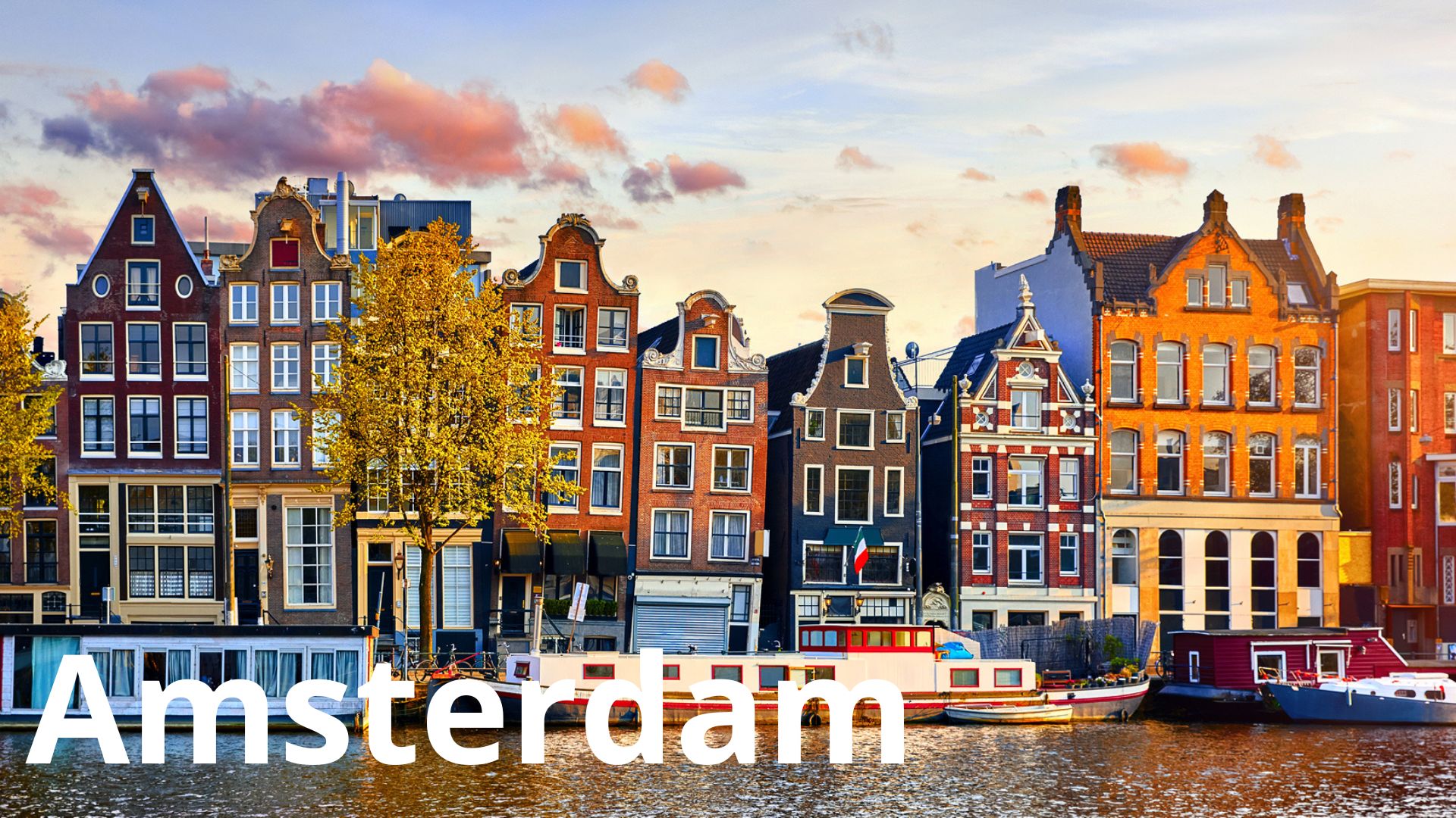 Campus EFAP Amsterdam