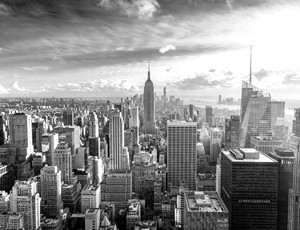EFAP New York