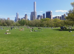 EFAP New York