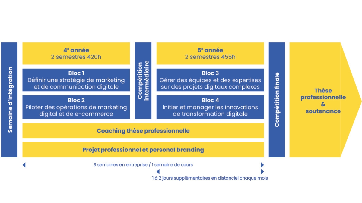 EFAP DMB : schéma des études