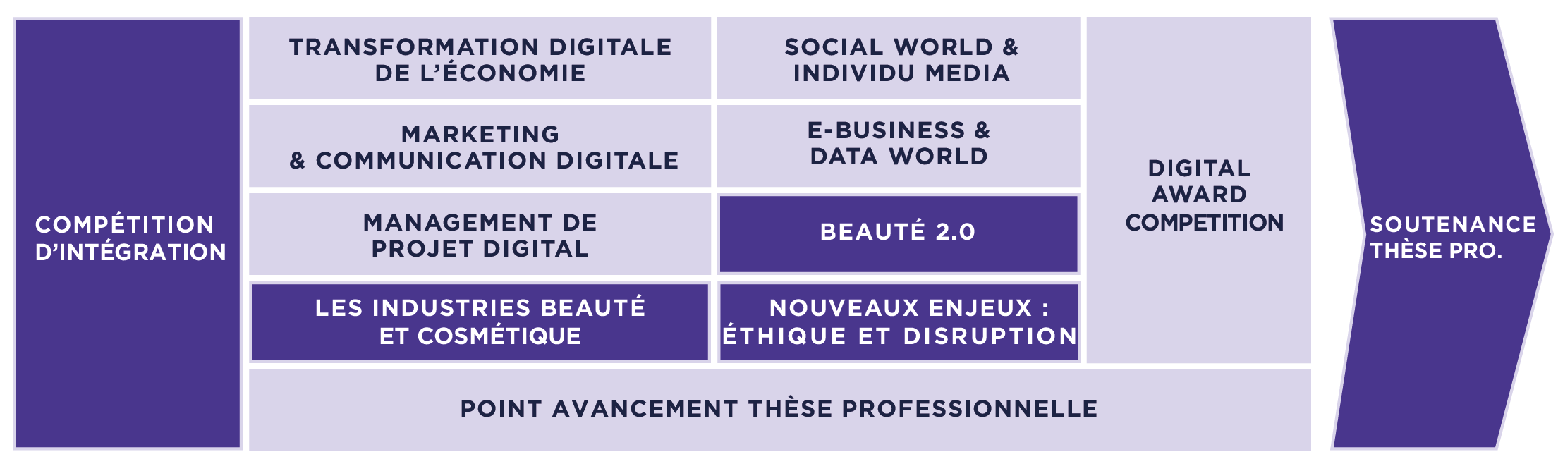 Master Marketing Digital de la Beauté - MBA Communication EFAP