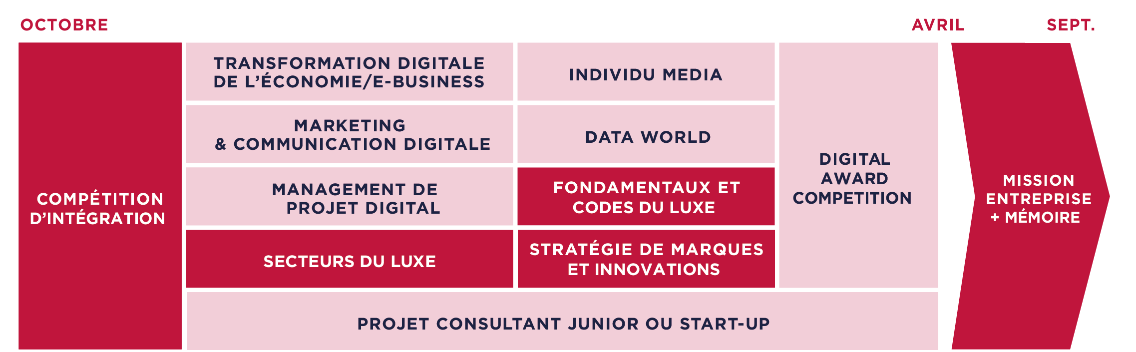 Programme Formation Digital Marketing & Luxe de l'EFAP 
