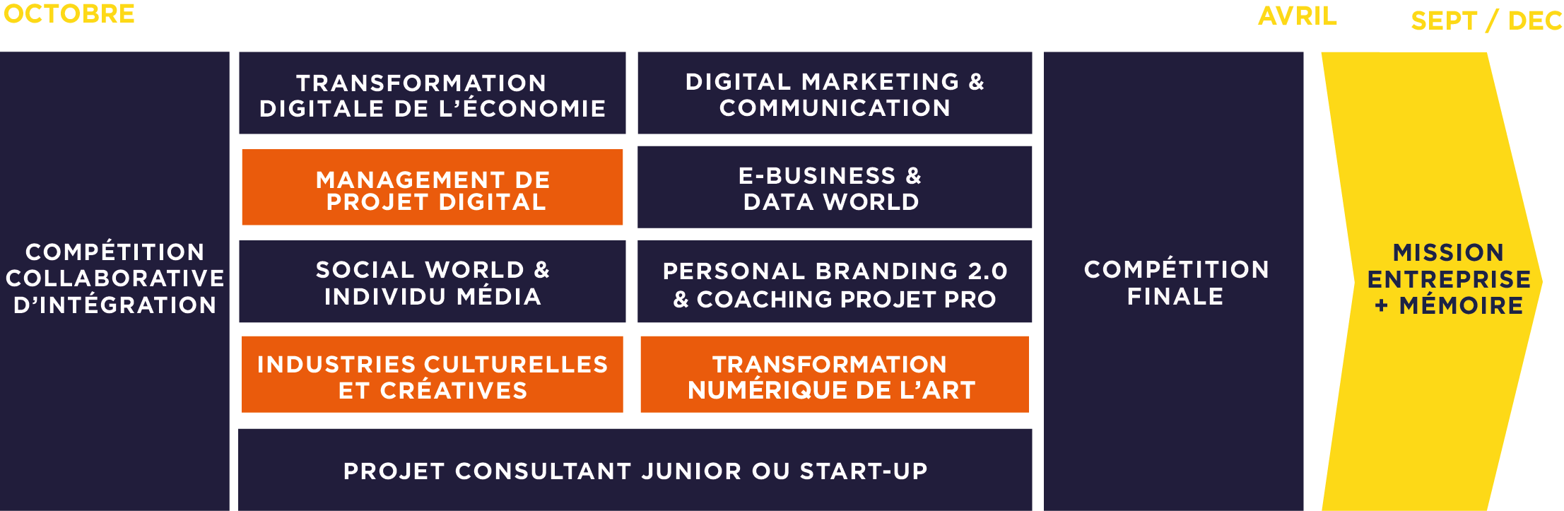 Programme Master Marketing Digital & Art Culture - MBA EFAP