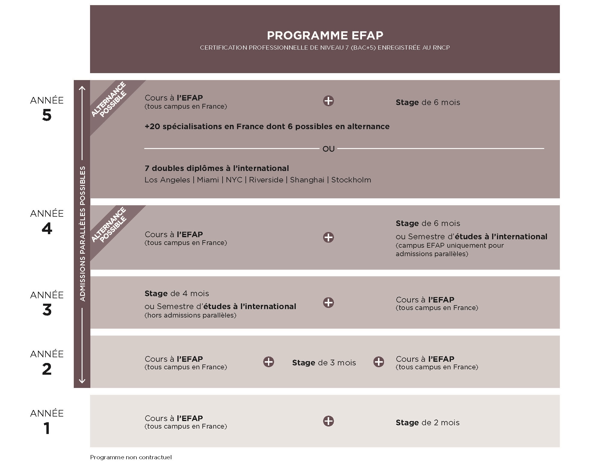 EFAP-schéma des études programme EFAP